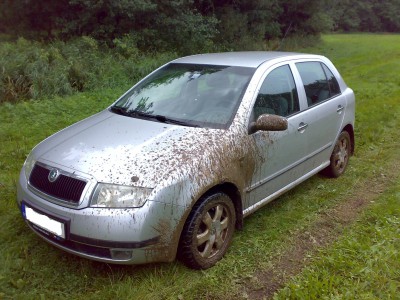 28082010095.jpg