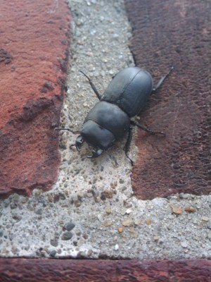 2010-08-07 15.51.20.jpg