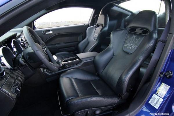 mustang PPM4.jpg