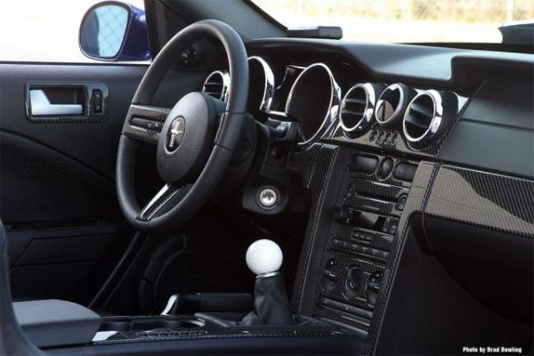 mustang PPM5.jpg