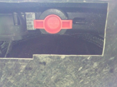 Resize of SNC00164.jpg