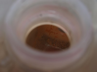 P6270563.JPG