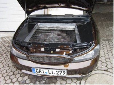 řřřř.jpg