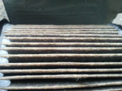 Resize of SNC00123.jpg